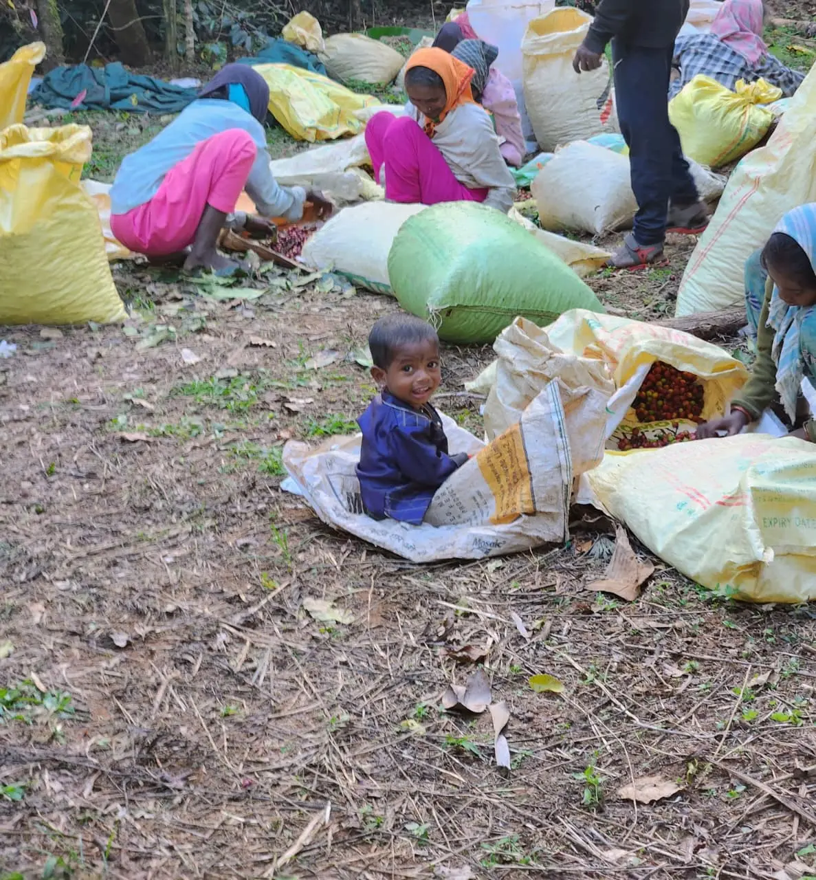 Traditional Indian Coffee Making