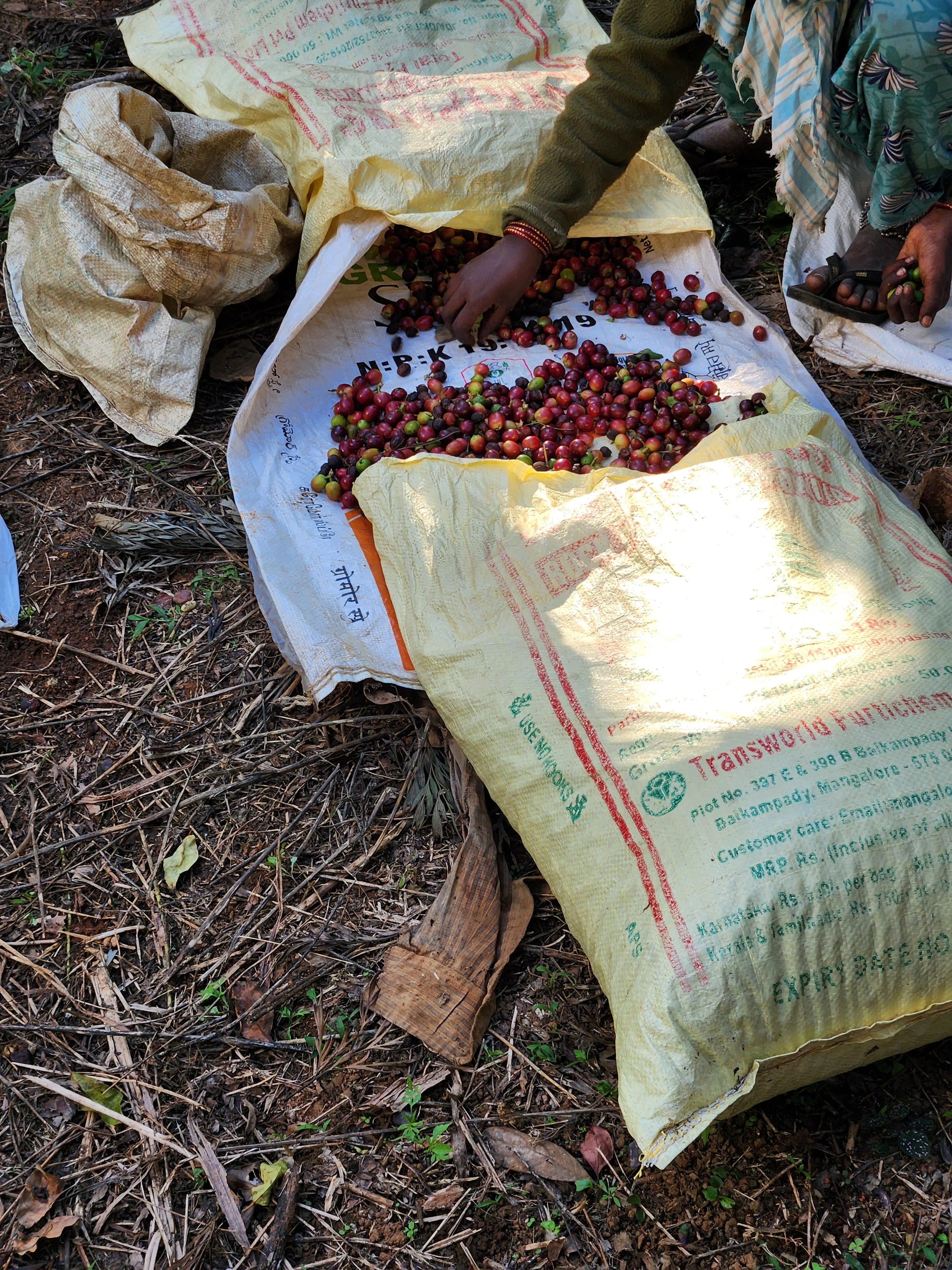 Selective Harvesting