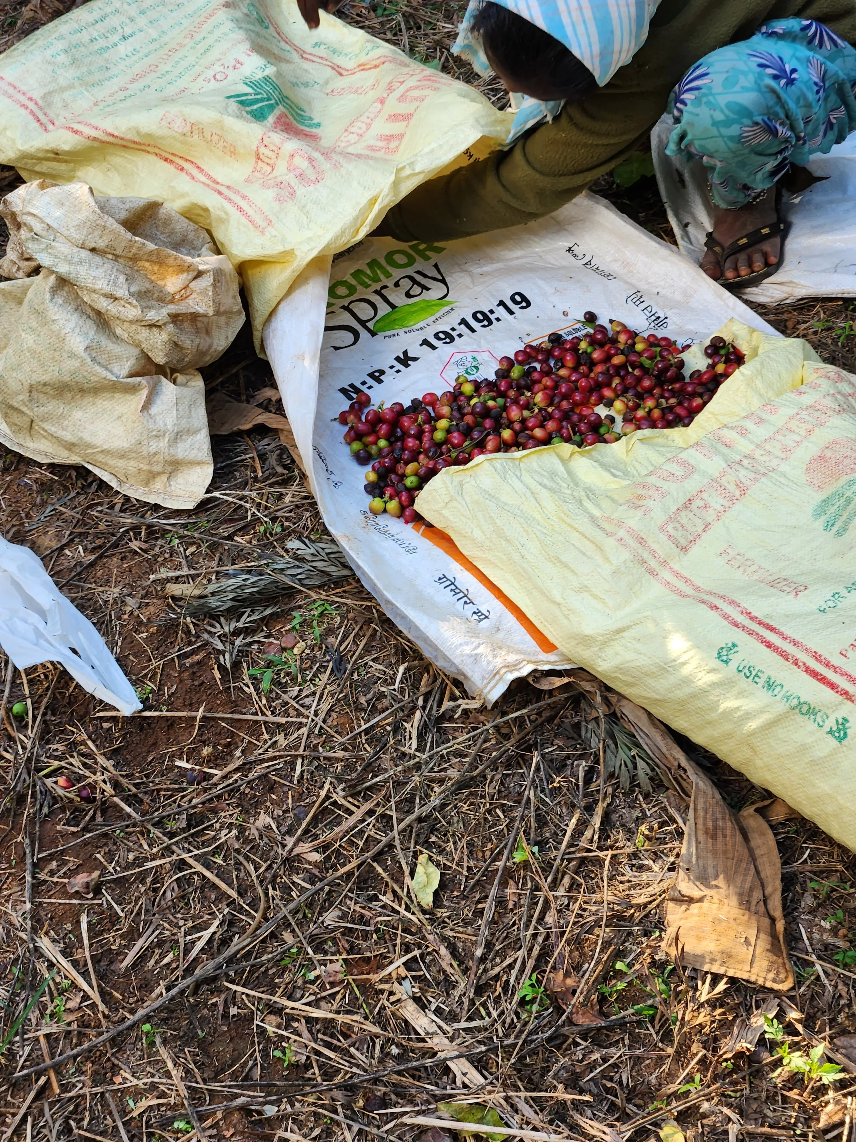 Selective Harvesting Detail